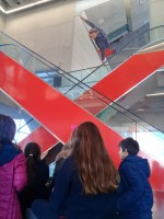 Visita al Museo MAR- 5º Nivel Primario